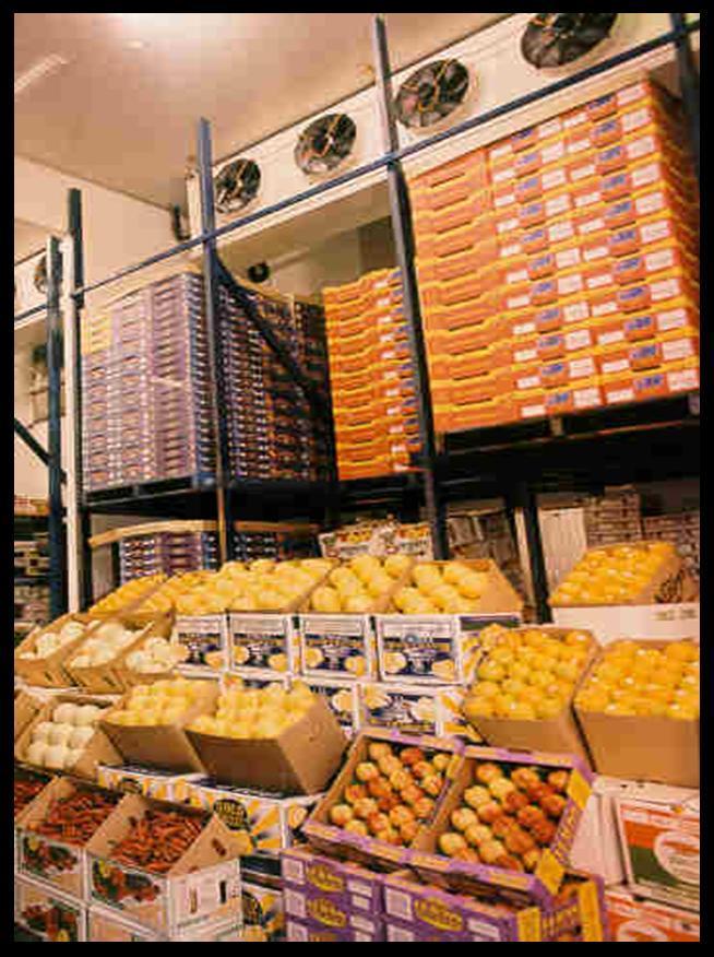 FRUIT COLD ROOM - Melbourne Victoria - Australia